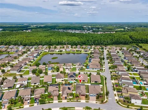 12018 Crestridge Loop New Port Richey FL 34655