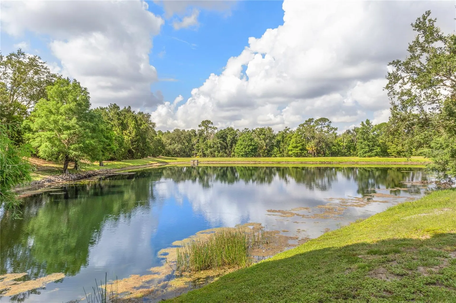 14243 Cattle Egret Place Bradenton FL 34202