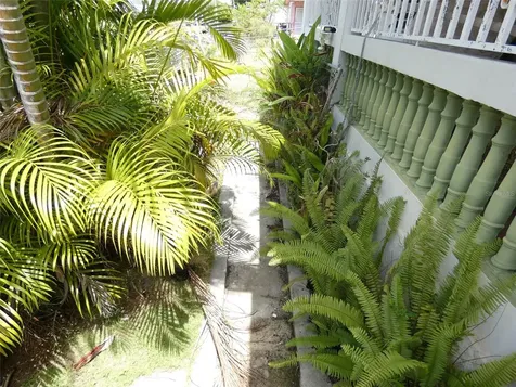 491 Calle Gladiola Vieques PR 00765