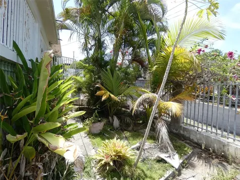 491 Calle Gladiola Vieques PR 00765