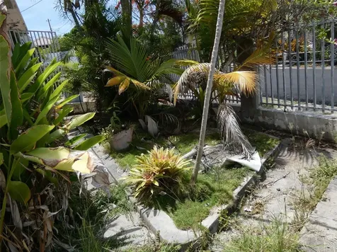 491 Calle Gladiola Vieques PR 00765