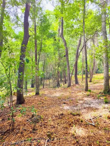 Fitzhugh Avenue Brooksville FL 34601