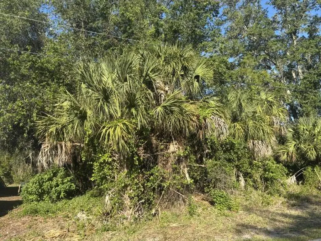 Abate Avenue North Port FL 34288