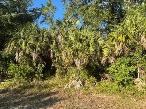 Abate Avenue North Port FL 34288