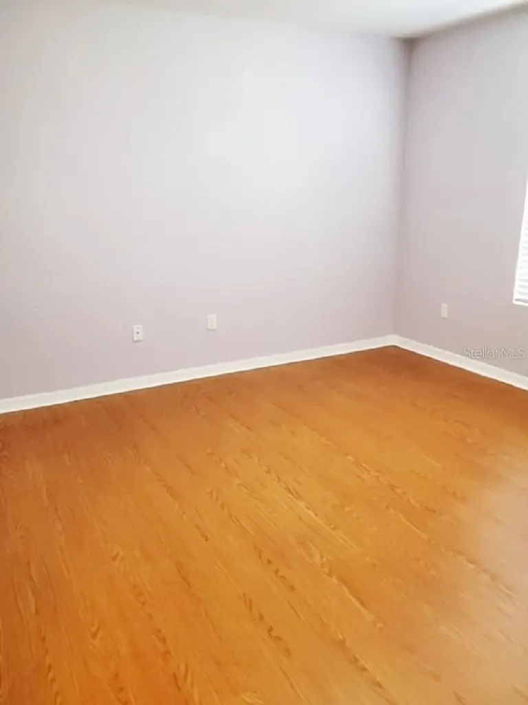 9907 Hound Chase Drive Gibsonton FL 33534
