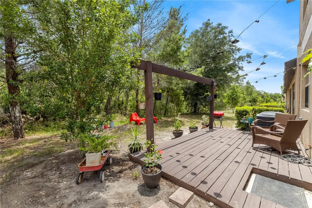11742 Castine Street New Port Richey FL 34654