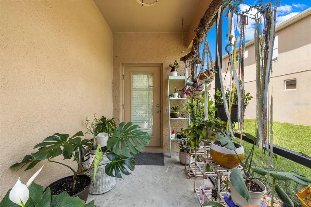 11742 Castine Street New Port Richey FL 34654