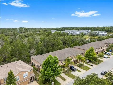 11742 Castine Street New Port Richey FL 34654
