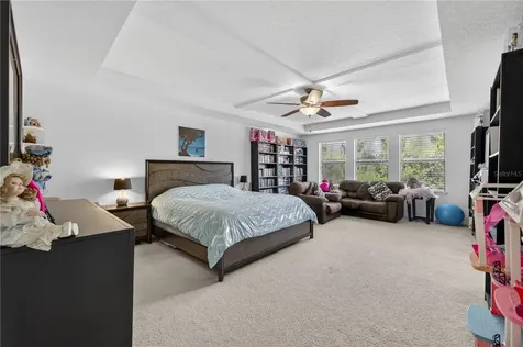 736 Woods Landing Drive Minneola FL 34715