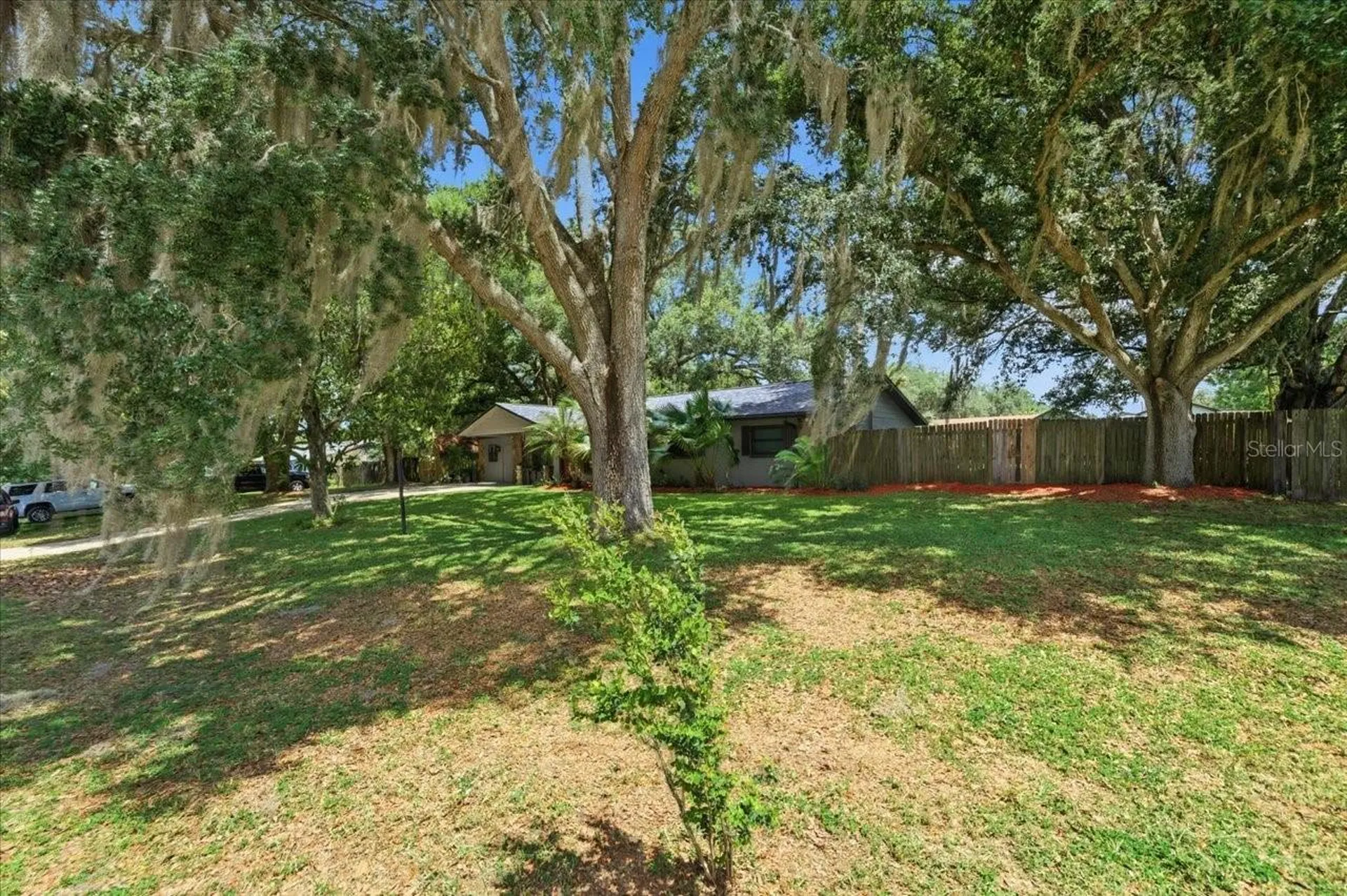 38929 Tall Drive Zephyrhills FL 33540