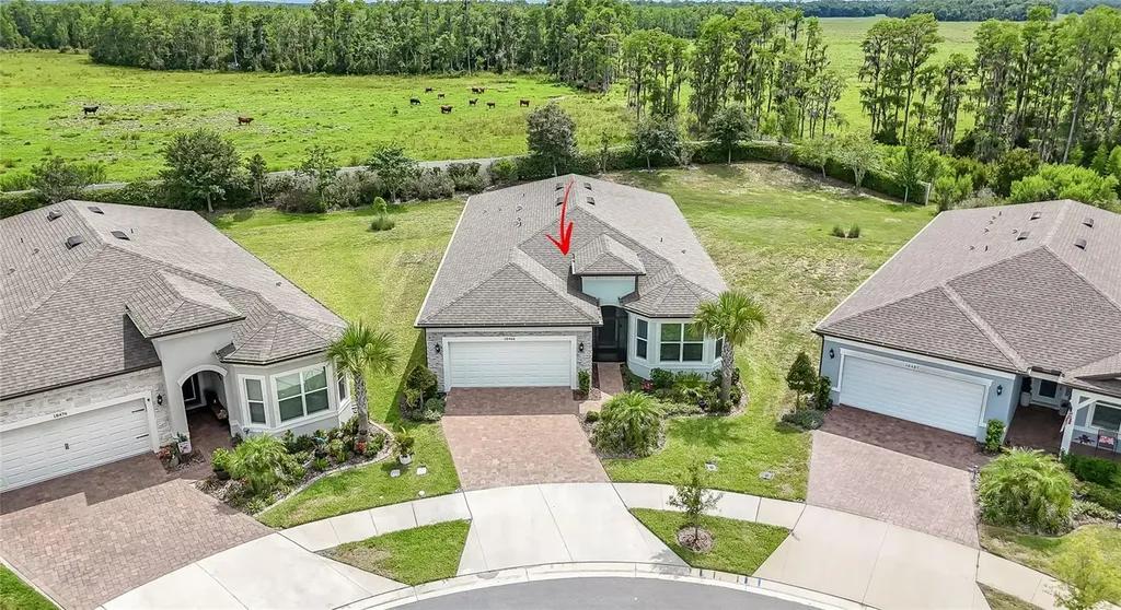 18466 Coastal Shore Terrace Land O Lakes FL 34638