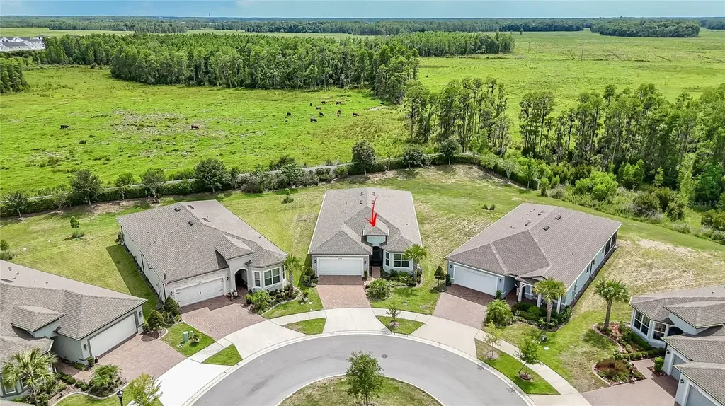 18466 Coastal Shore Terrace Land O Lakes FL 34638