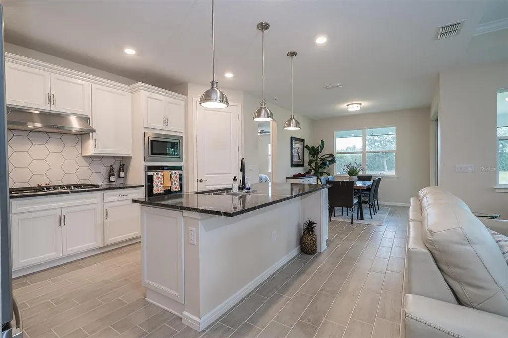 18466 Coastal Shore Terrace Land O Lakes FL 34638