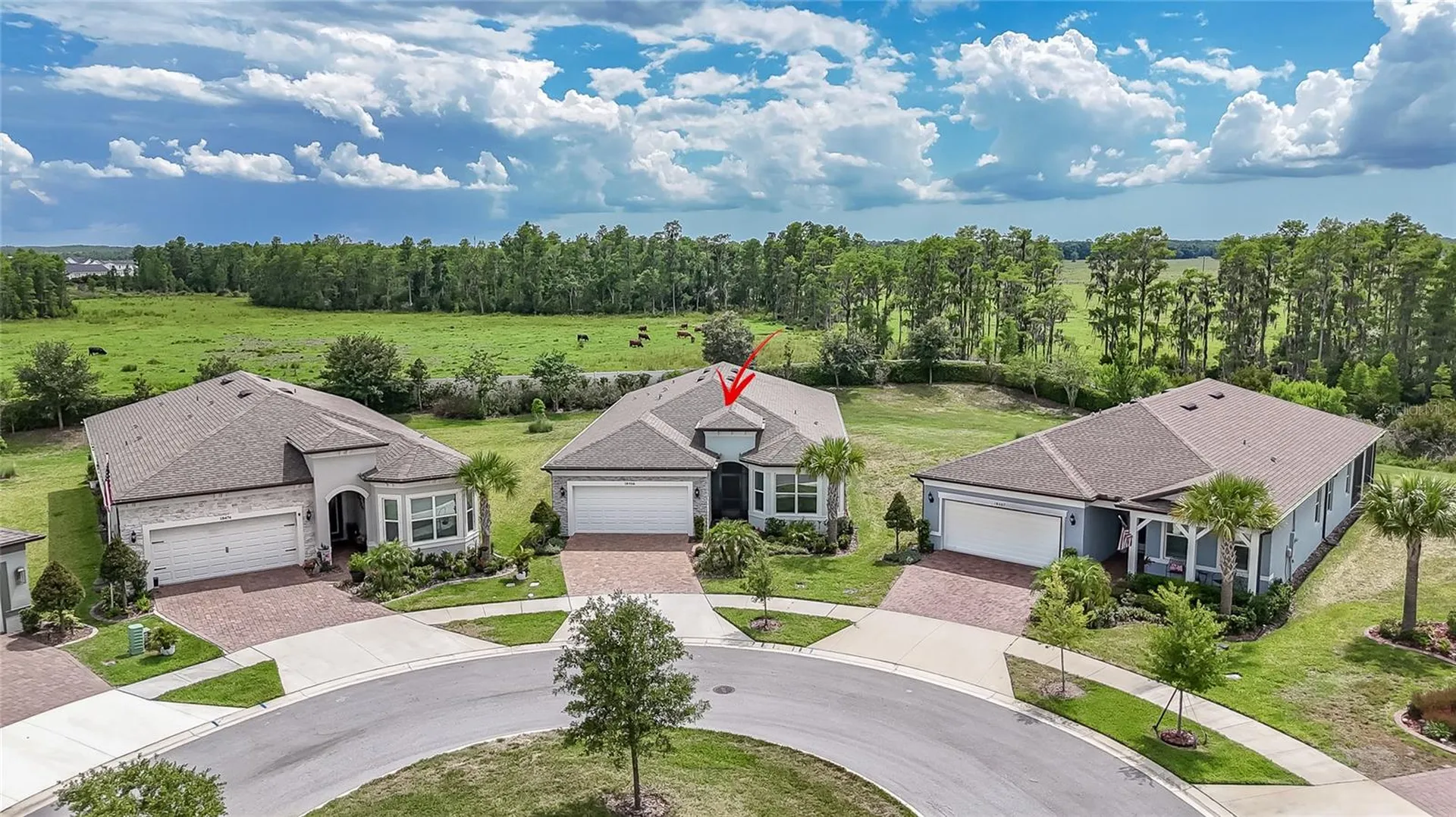 18466 Coastal Shore Terrace Land O Lakes FL 34638