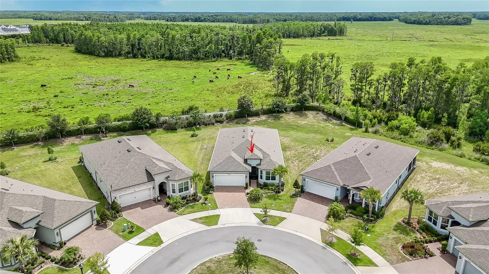 18466 Coastal Shore Terrace Land O Lakes FL 34638