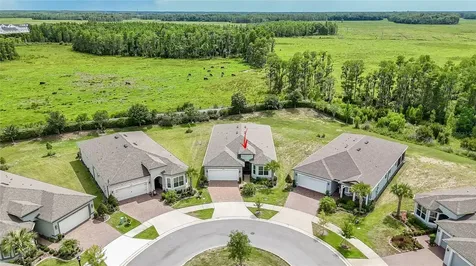 18466 Coastal Shore Terrace Land O Lakes FL 34638
