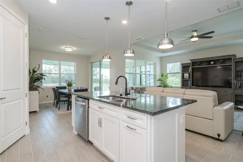 18466 Coastal Shore Terrace Land O Lakes FL 34638