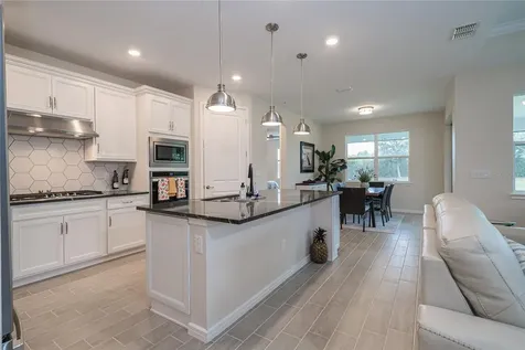 18466 Coastal Shore Terrace Land O Lakes FL 34638