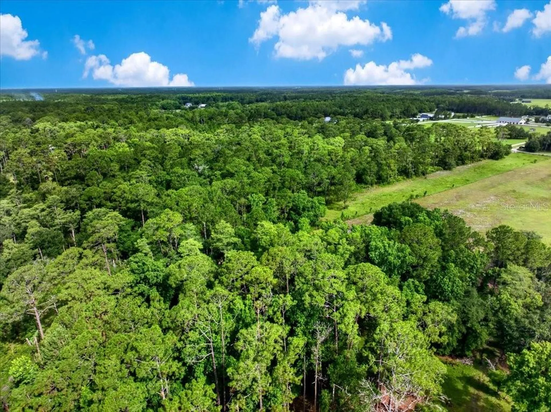 4600 Saddle Creek Run New Smyrna Beach FL 32168