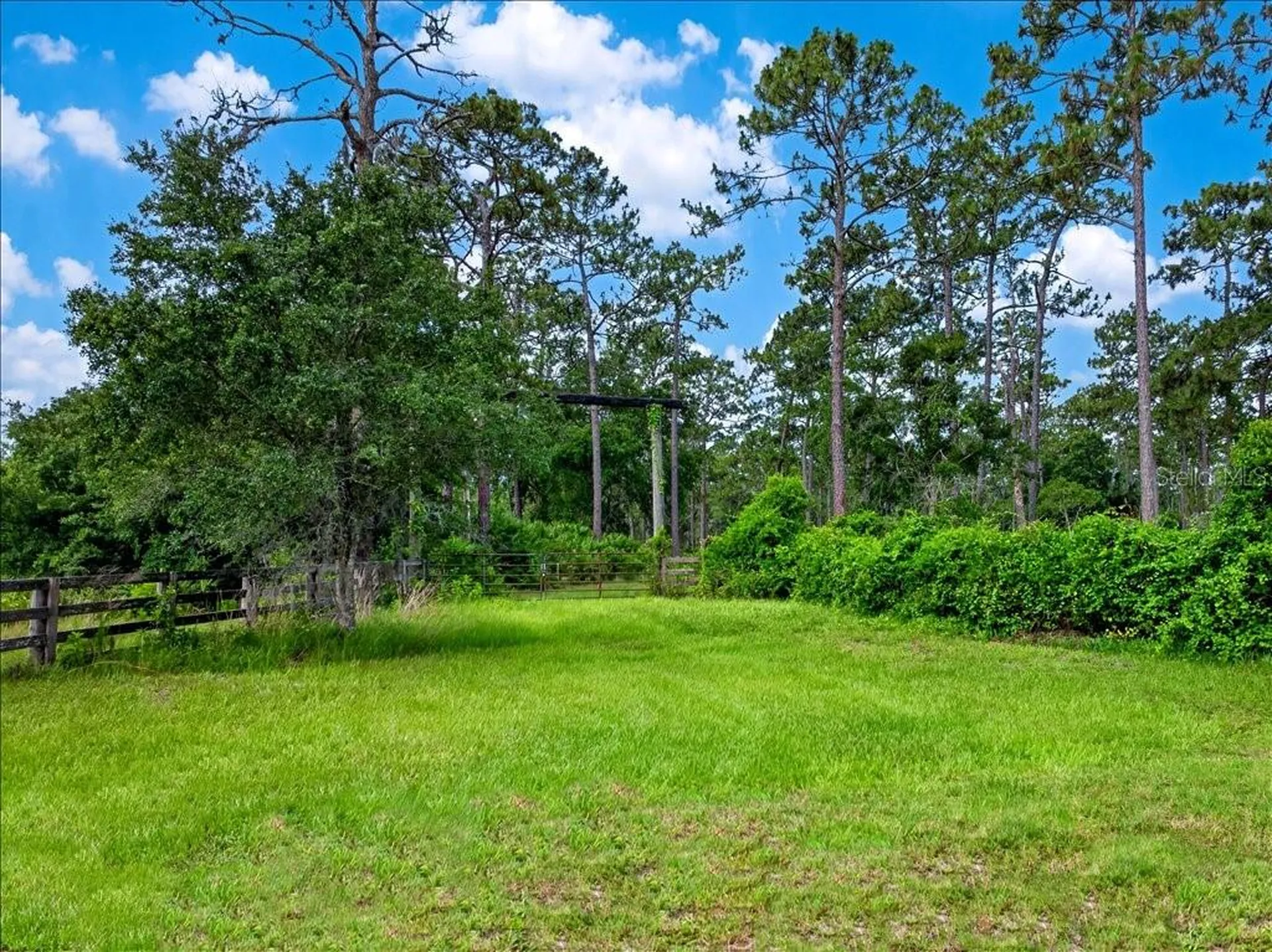 4600 Saddle Creek Run New Smyrna Beach FL 32168
