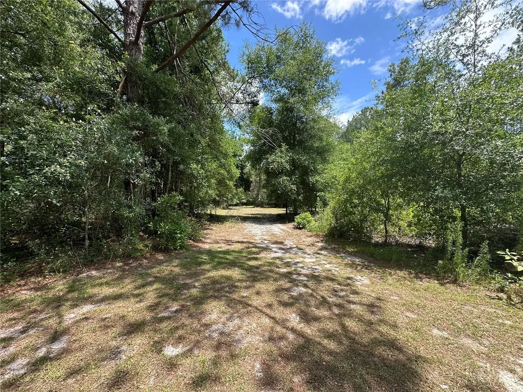 20499 S Us Highway 441 High Springs FL 32643