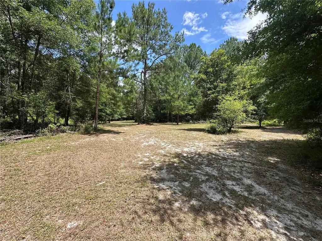 20499 S Us Highway 441 High Springs FL 32643
