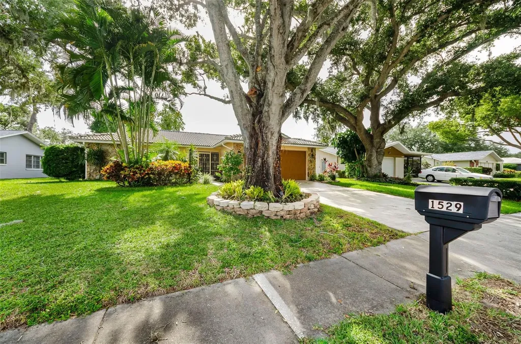 1529 E Dorchester Drive Palm Harbor FL 34684