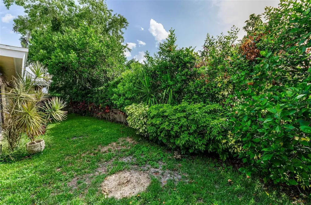 1529 E Dorchester Drive Palm Harbor FL 34684