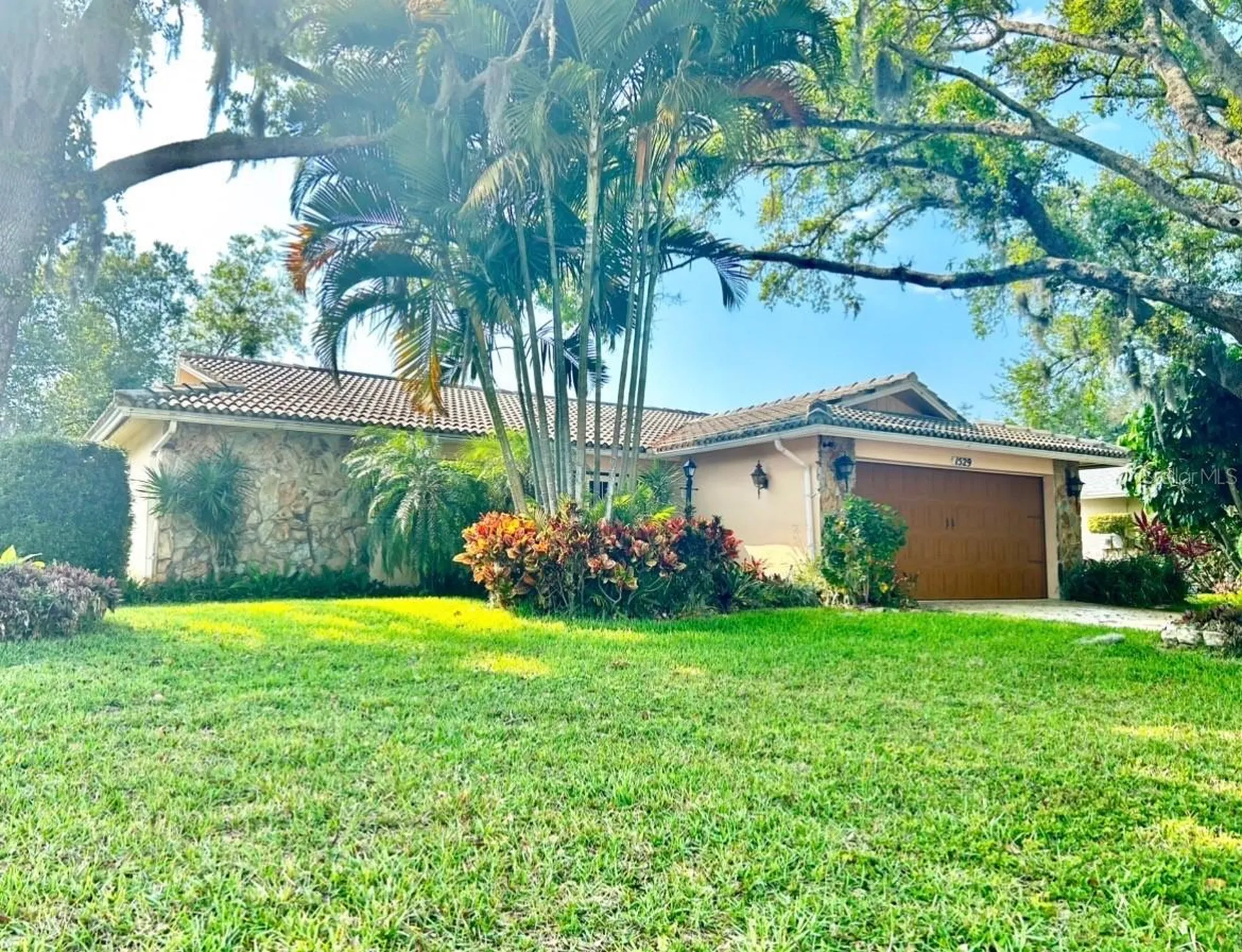 1529 E Dorchester Drive Palm Harbor FL 34684