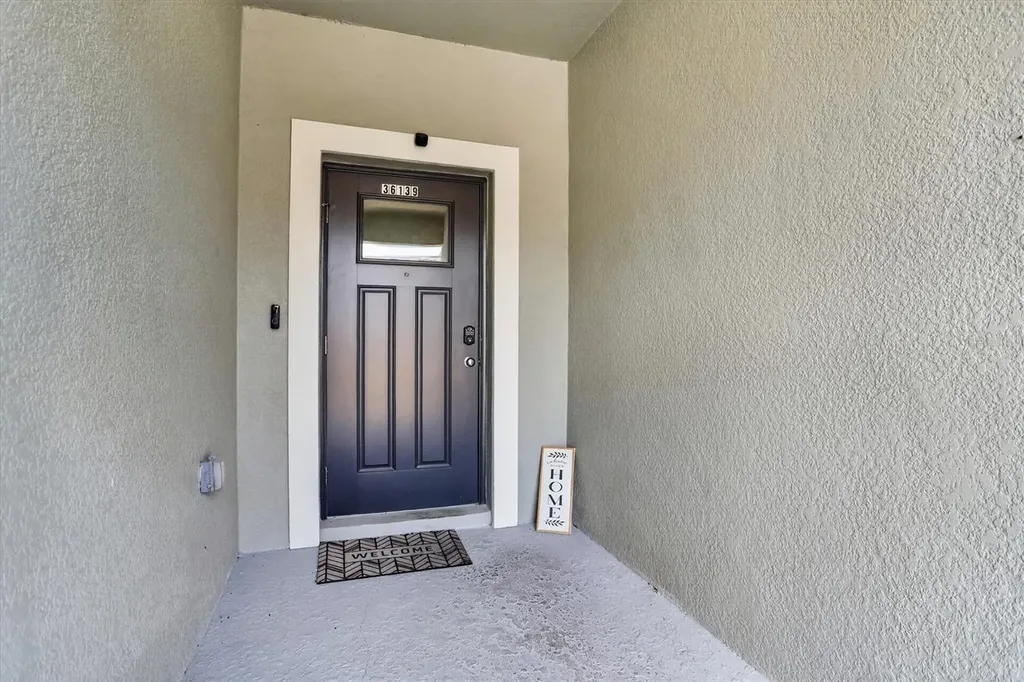 36139 Risa Michele Street Zephyrhills FL 33541