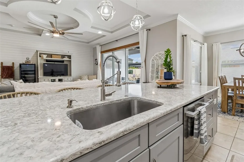8908 Bella Vita Circle Land O Lakes FL 34637