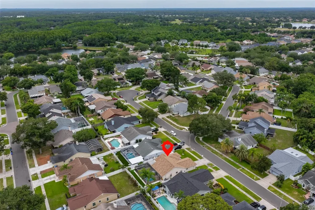 8715 Hampden Drive Tampa FL 33626