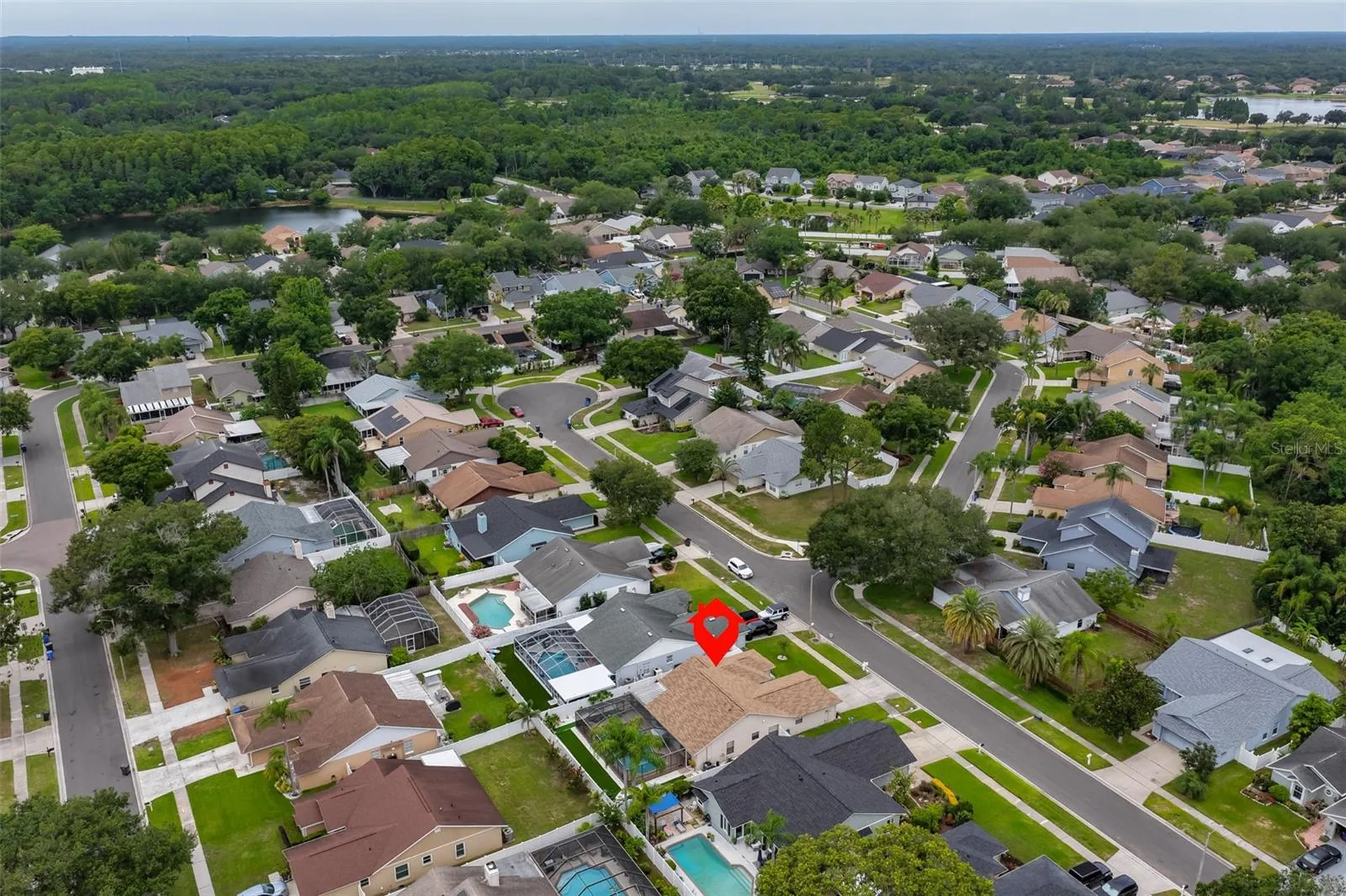 8715 Hampden Drive Tampa FL 33626