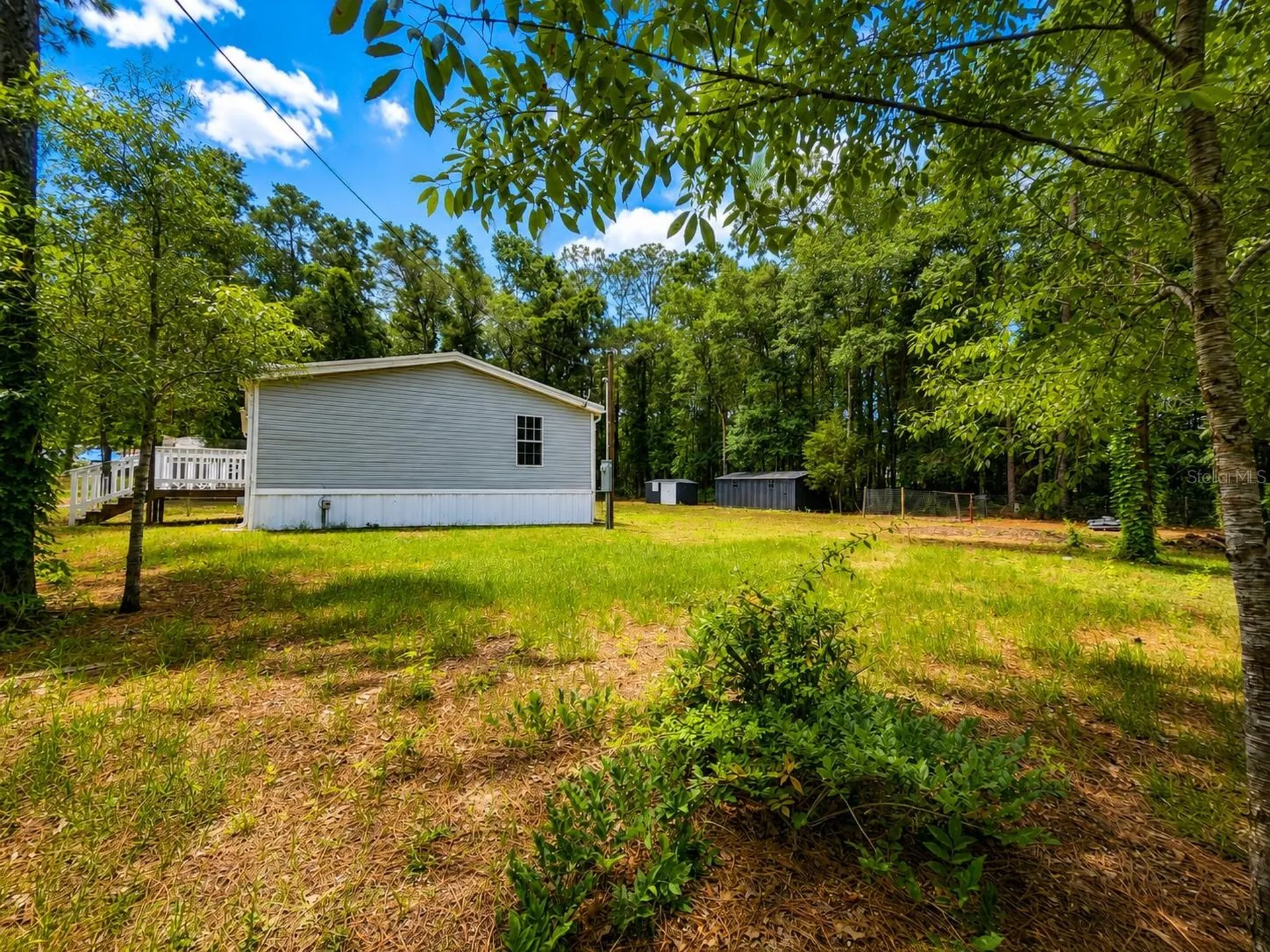 14210 NE 50th Place Williston FL 32696