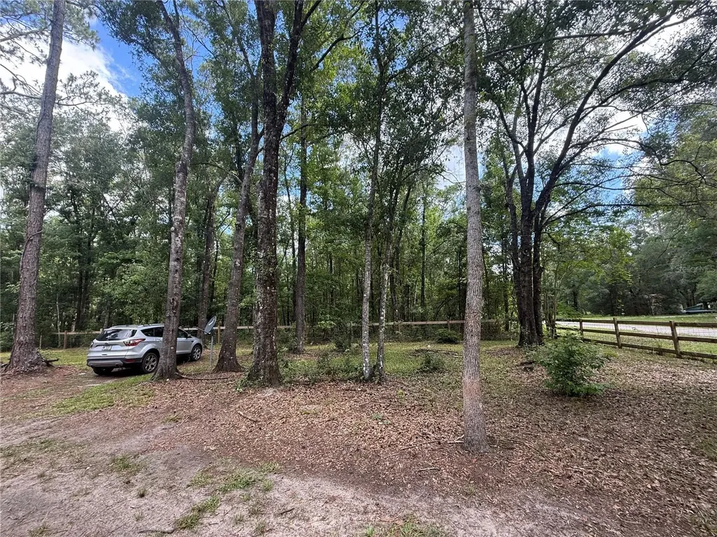 10225 Weatherby Avenue Hastings FL 32145