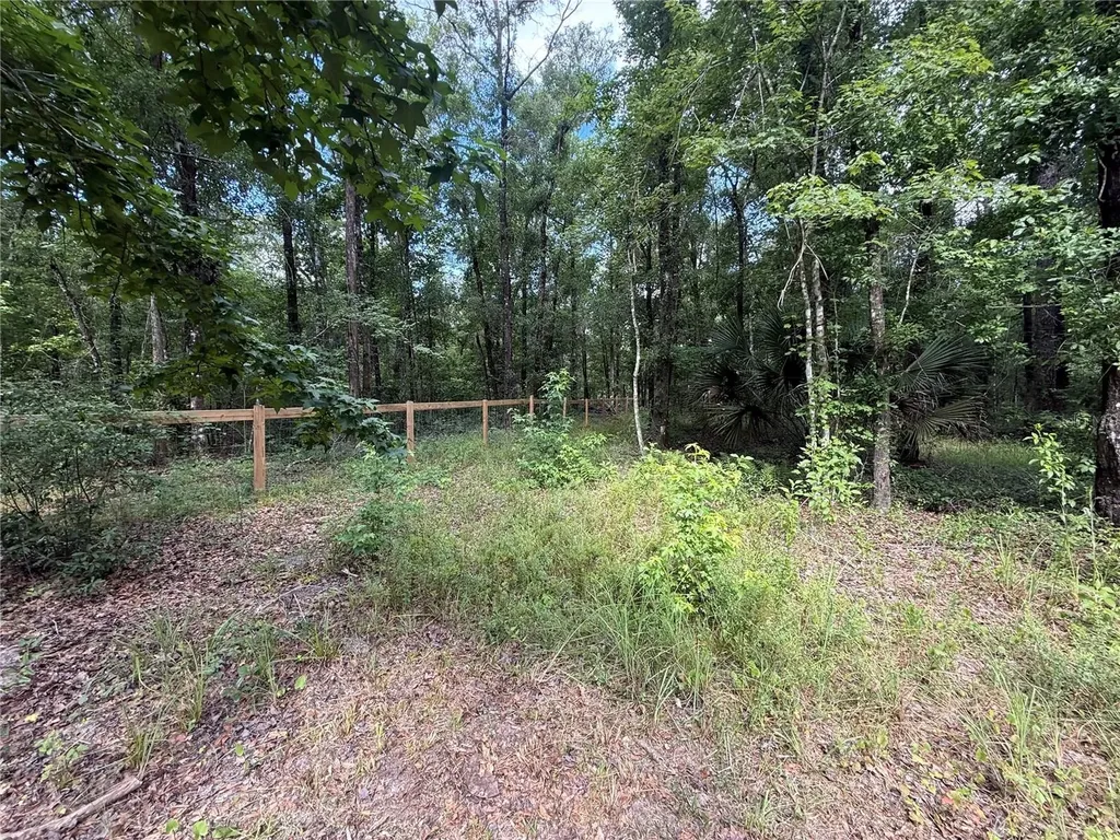 10225 Weatherby Avenue Hastings FL 32145