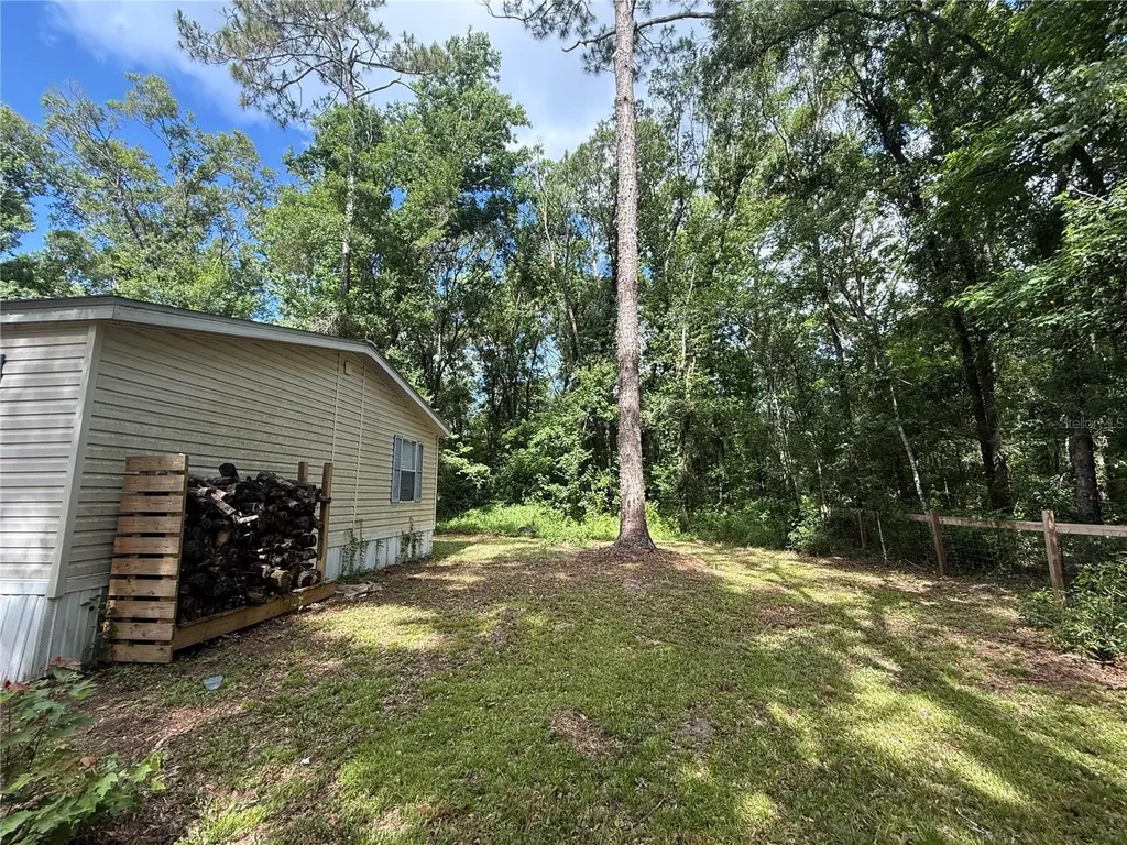 10225 Weatherby Avenue Hastings FL 32145