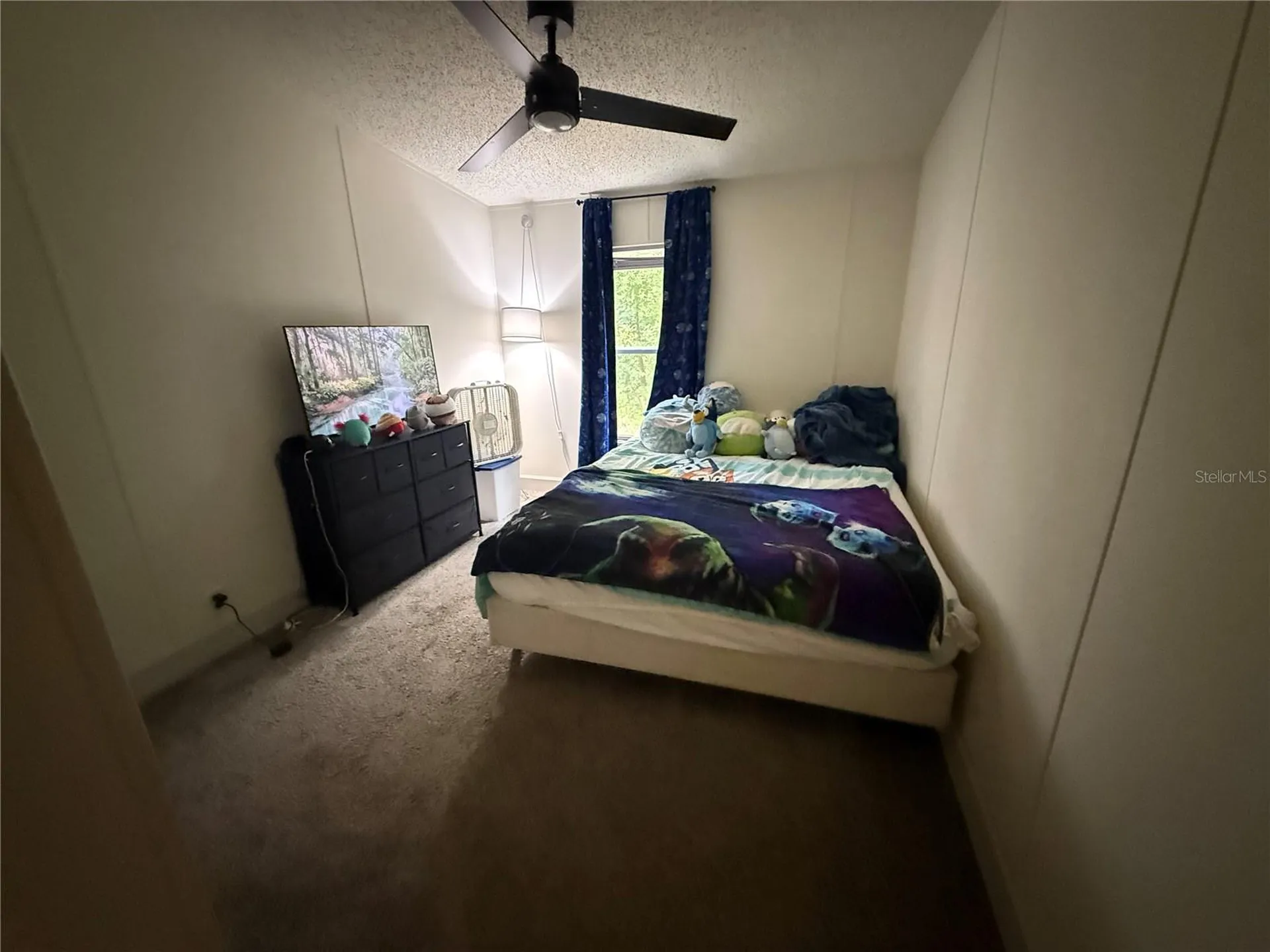 10225 Weatherby Avenue Hastings FL 32145