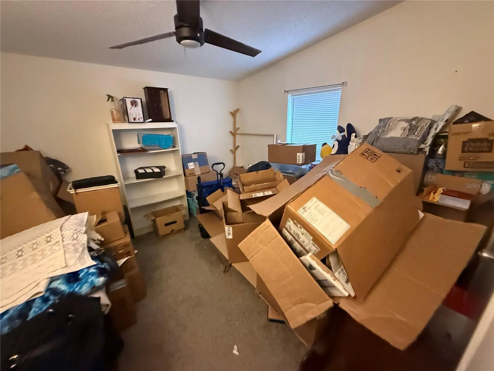 10225 Weatherby Avenue Hastings FL 32145