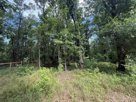 10225 Weatherby Avenue Hastings FL 32145