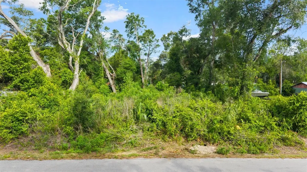 15177 Spokane Road Spring Hill FL 34610