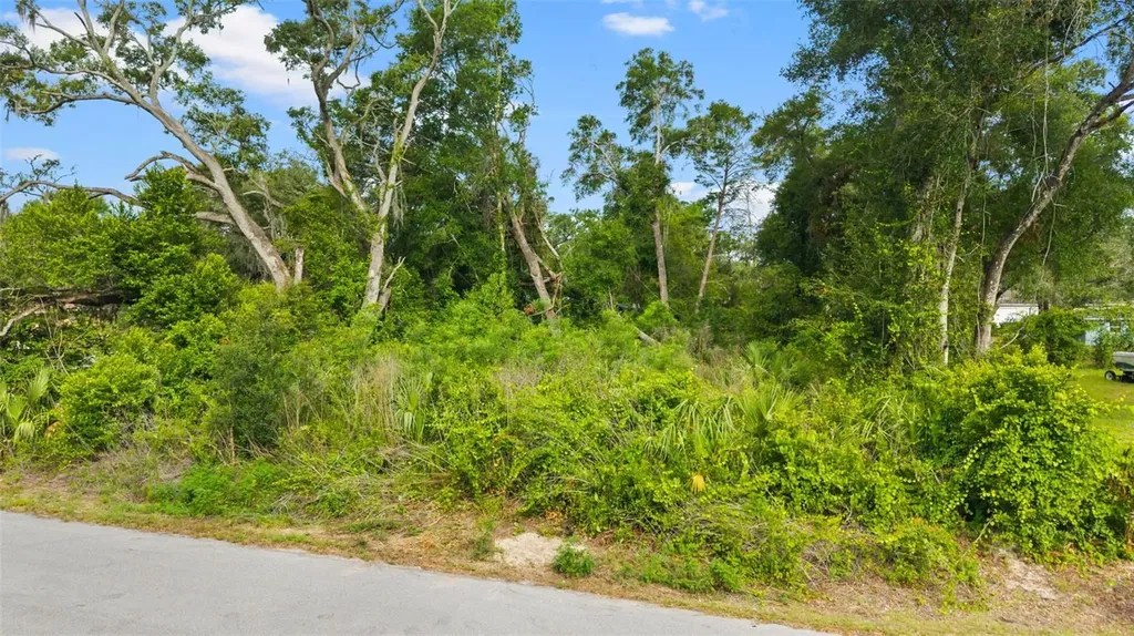 15177 Spokane Road Spring Hill FL 34610