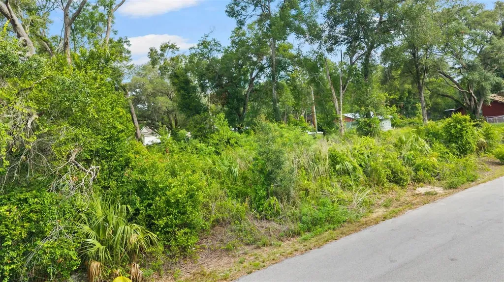 15177 Spokane Road Spring Hill FL 34610