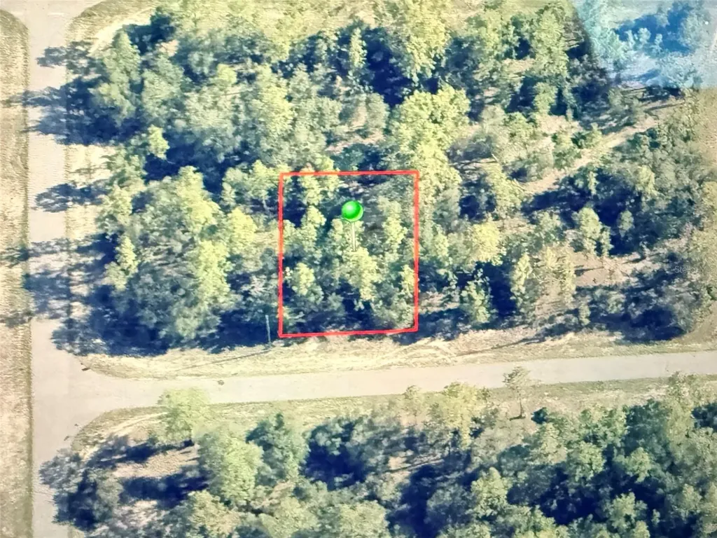 2881 W Huron Lane Dunnellon FL 34433