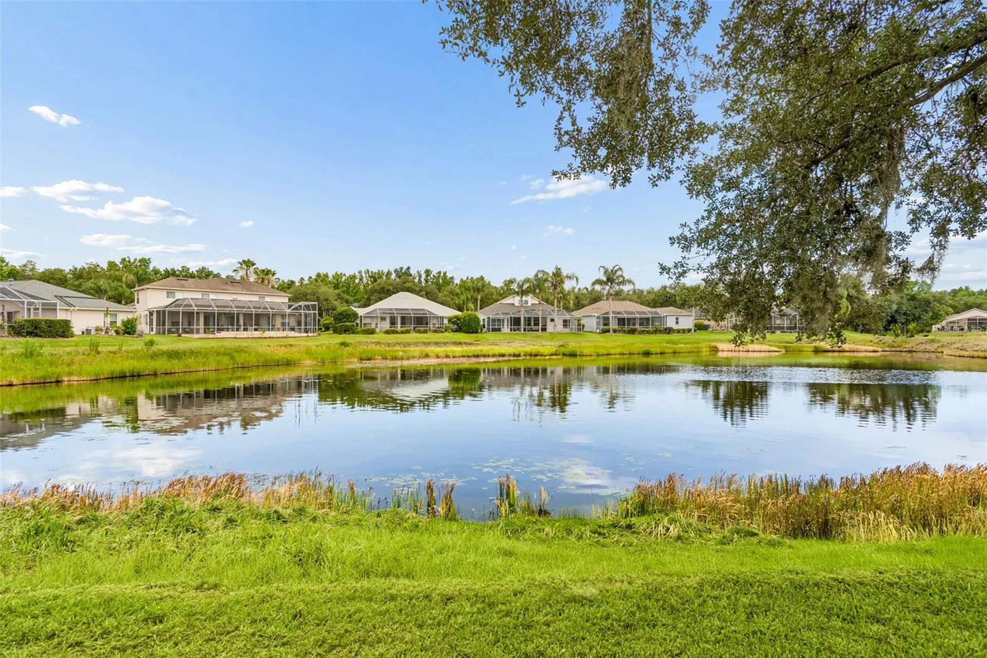10229 Quails Landing Avenue Tampa FL 33647