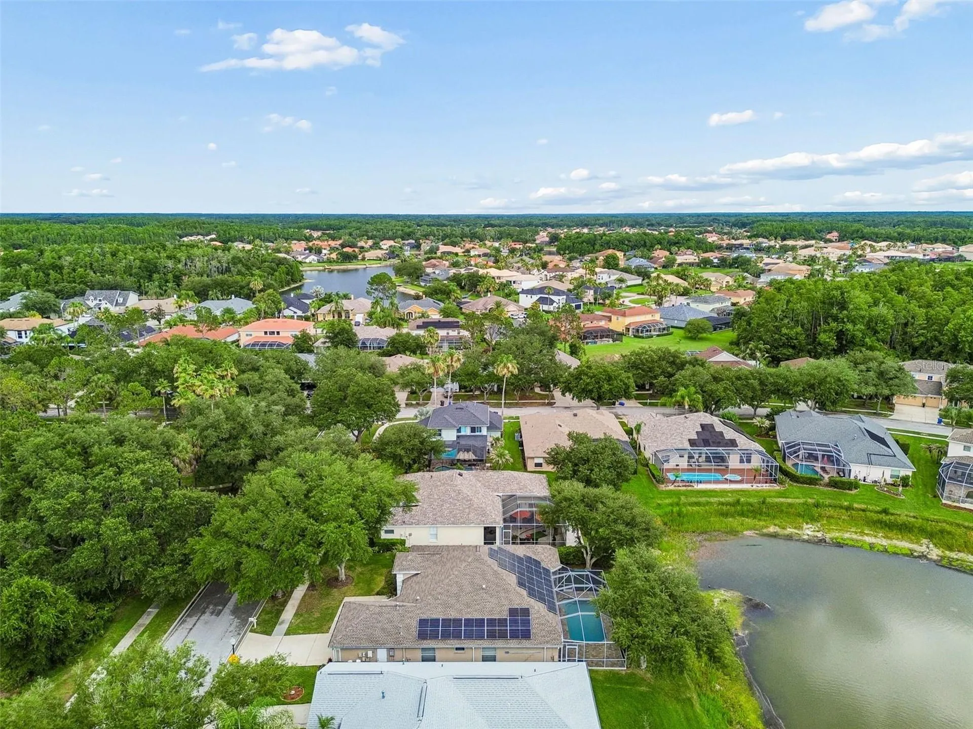 10229 Quails Landing Avenue Tampa FL 33647