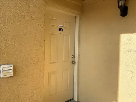 235 Red Maple Place Brandon FL 33510
