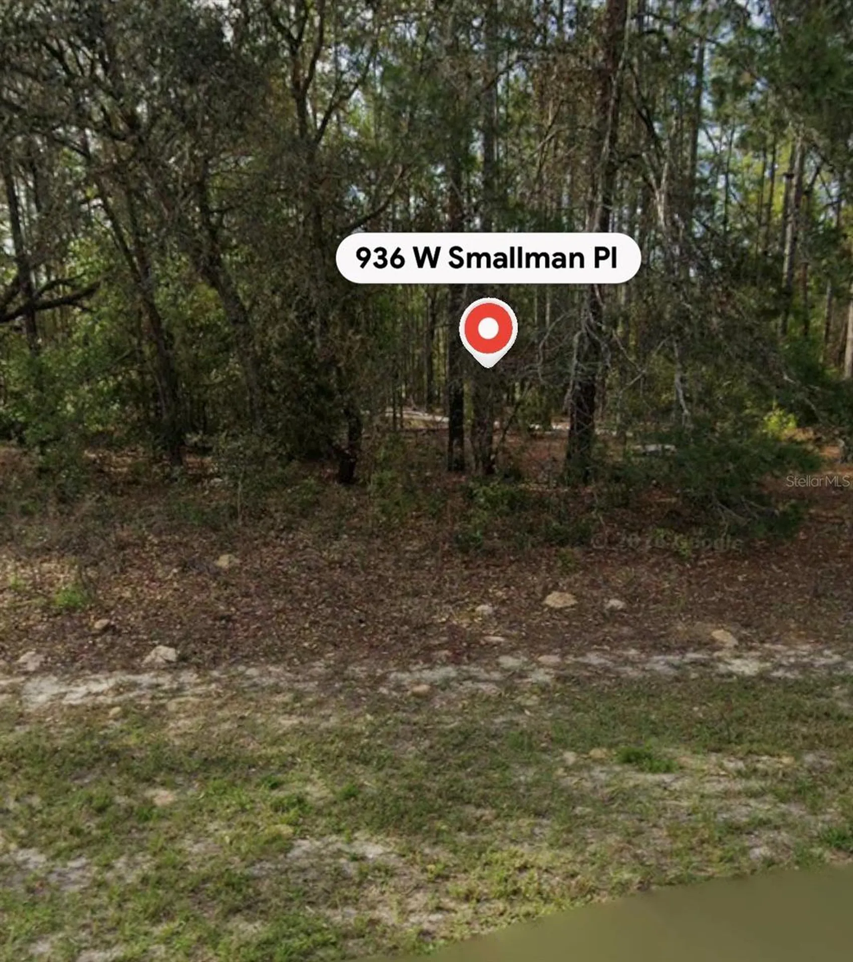 936 W Smallman Place Dunnellon FL 34434
