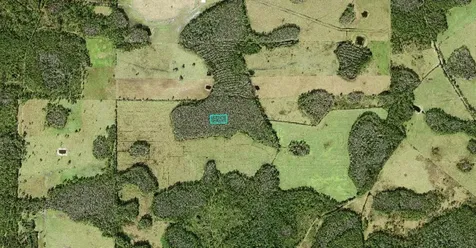 No Street Polk City FL 33868