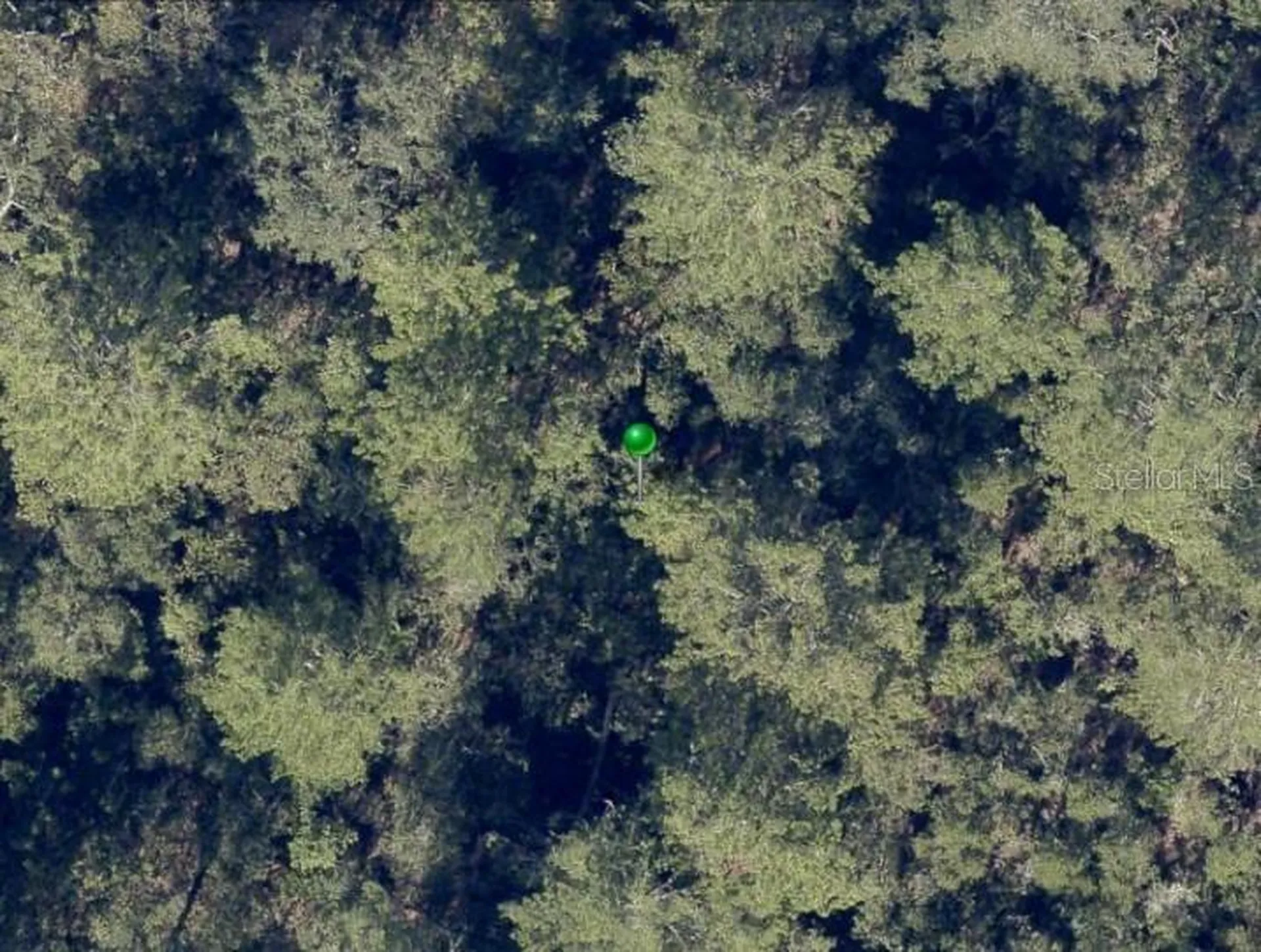 No Street De Leon Springs FL 32130